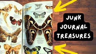 CRAFT SUPPLY HAUL  Junk JOURNAL Ideas  THRIFTY Treasures [upl. by Milah]