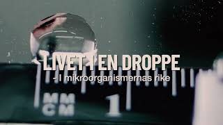 Livet i en droppe – i mikroorganismernas rike Trailer 1847KM [upl. by Kcirttap]