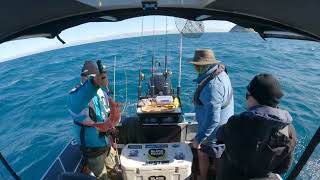 Fishing Top Of Coromandel New Zealand in the Surtees 610 Gamefisher [upl. by Atsirtal]