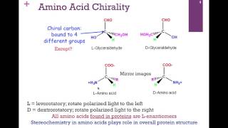 015Amino Acid StructureHydrophobic Amino Acids [upl. by Ixel]