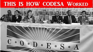 Is it only ANC that failed at CODESA did African parties sell out or fail to represent Africans [upl. by Haidebez703]