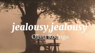 Olivia Rodrigo–Jealousyjealousylyrics [upl. by Yragerg]