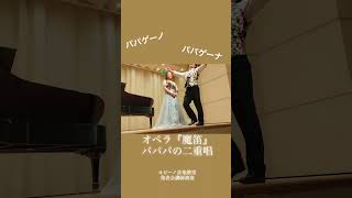 【Mozart】Pa Pa Pa duet 『魔笛』パパパの二重唱 オペラ opera classicalmusic mozart [upl. by Rosemonde]