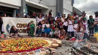 quotCuatro Vientosquot Danit Treubig por la Comunidad Achik MuyuInti Raymi de las Universidades UIO 2019 [upl. by Sylirama]