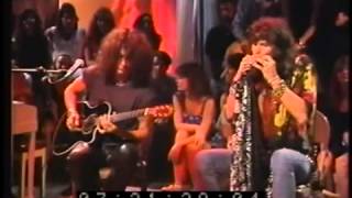 Aerosmith  Love two times acoustic [upl. by Imuyam924]