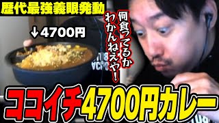 4700円分のクソデカCOCO壱カレーに挑戦する布団ちゃん【20241120】 [upl. by Arahsat]