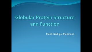 Globular Protein Structure  Hemoglobin Hb  Myoglobin [upl. by Piks]