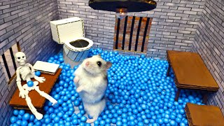 🐹Hamster escapes the awesome maze for Pets in real life 🐹 in Hamster stories Part 3 [upl. by Hauge]