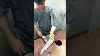 CLEANING TROUT SAFE  To EAT [upl. by Osgood]