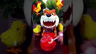 MAD DOG ANGRY SOMEONE TOUCH HIS JELLY ACE ASMRasmrvideo shortvideo [upl. by Sivatnod]