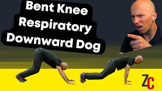 Bent Knee Respiratory Downward Dog [upl. by Rrats]