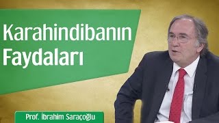 Karahindibanın Mucizevi Faydaları  Prof İbrahim Saraçoğlu [upl. by Annabelle]