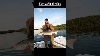 The Perfect Red Fish fishing redfish fishinglife fish [upl. by Kwasi700]