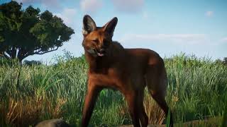 Planet Zoo Grasslands Animal Pack  Announcement Trailer [upl. by Neraa]