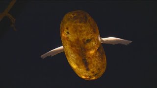 Watch the Potato Drop live on KTVB [upl. by Blaseio149]