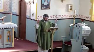 Wednesday Mass  13th November 2024  St Liborius Parish [upl. by Twitt]