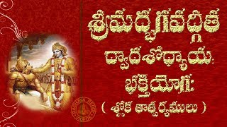 SRIMAD BHAGAVAD GITA CHAPTER 12 TELUGU LYRICS AND MEANING [upl. by Acirre]