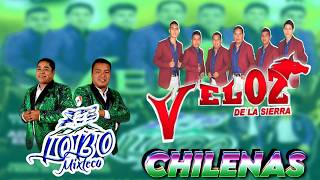 Lobo Mixteco ft Veloz De La Sierra 🎶 Las Mejores Chilena Mixteca  Chilenas de Oaxaca Para Bailar [upl. by Aitam337]