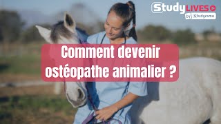 Comment devenir ostéopathe animalier [upl. by Annatsirhc473]