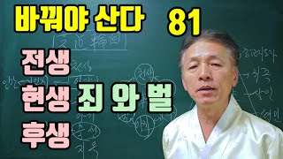 전생 현생 후생 죄를 지으면 짐승으로 태어나게 된다 [upl. by Dlorrej]