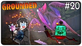 DOPPIA EPICA BOSS BATTLE ELIMINIAMO LA MANTIDE RELIGIOSA E IL DIRETTORE SCHMECTOR  Grounded  ep20 [upl. by Banebrudge526]