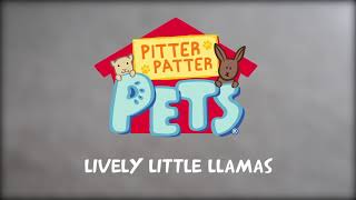 Pitter Patter Pets Lively Little Llamas [upl. by Karina]