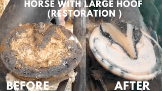 Shire Horse Complete restoration Shire Horse Restoration Compilation shirehorse huge massivehoof [upl. by Adna]