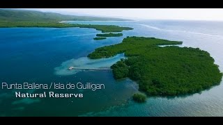 SeqPunta BallenaIsla Guilligan Cayo Aurora Guánica Puerto Rico [upl. by Harlene798]