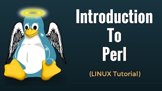 Introduction to Perl  Perl Tutorial for Beginners [upl. by Hedberg]