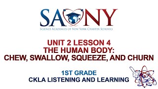 1st Grade CKLA Listening amp Learning  Unit 2 Lesson 4 The Human Body Chew Swallow Squeeze and Ch [upl. by Svensen]