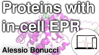 Nitroxide radicals for structural investigations on proteins with incell EPR  Alessio Bonucci [upl. by Anattar]