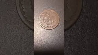 1888 INDIAN HEAD PENNY US coin collection treasurehunt shorts [upl. by Jewett]