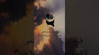 اكسبلور عشق لا ينتهي [upl. by Nogem]