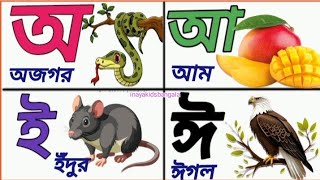 বাংলা স্বরবর্ণ দিয়ে বাক্য গঠন শিখি।swaroborno।bengalilearning।bengalialphabet।অআইঈ।বর্ণমালা [upl. by Aneert]