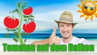 Tomaten auf dem Balkon Garten 2017 ★ ☆ Teil 2 [upl. by Nellie]