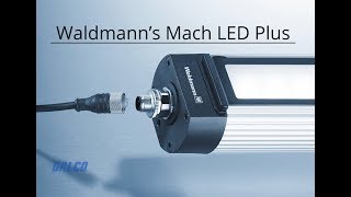 Waldmann’s Mach LED Plus series [upl. by Dyna854]