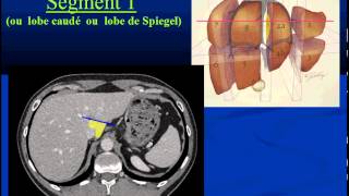 Segmentation et Vascularisation hépatique partie 1 [upl. by Aggi]