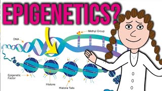 What does epigenetics really mean [upl. by Ydniahs243]