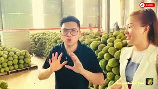 Những Bí Mật Trong Nghề Buôn Sầu Riêng  Durian monthong musangking ri6 vietnamesefoods [upl. by Nivram]