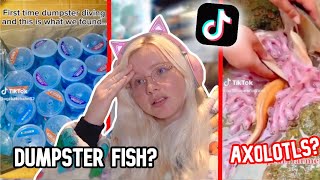 These VIRAL Pet TikTok’s STRESS ME OUT [upl. by Calva469]