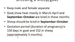 Breeding Management of Sheep and Goat [upl. by Evannia712]