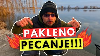 🔥🔥🔥PAKLENO PECANJE🔥🔥🔥  30 šarana u januaru [upl. by Bengt]