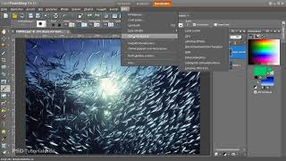 Corel PaintShop Pro X5  03 Anpassen der Tastaturbefehle [upl. by Acemaj]