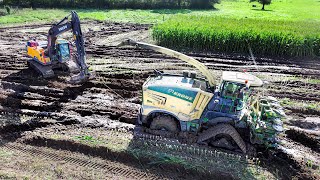 ENSILAGE en CONDITIONS EXTREMES  LE FILM  2024 [upl. by Anyl]