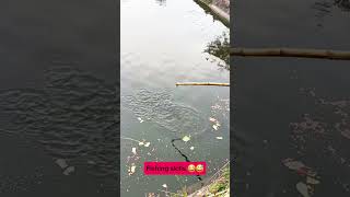 fishing skills 🤣😅 fishing fish fishingtips nature [upl. by Ojimmas]