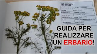 Come realizzare un ERBARIO  Tutorial per conservare le piante  WampA Gardens orto e giardino [upl. by Bueschel]