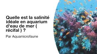 Quelle est la salinité idéale en aquarium deau de mer  récifal [upl. by Alyakcm858]