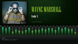 Wayne Marshall  Feelin It Liquid Riddim HD [upl. by Eelyrag]