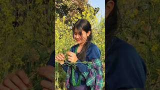 Sanjhako bela  Rajan Gurung • Sunita Budha Chhetri • Puspa Khadka • Kabita Nepali • New Lok Dohori [upl. by Aisak]