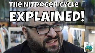 What is the Nitrogen Cycle [upl. by Araem]